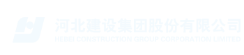 返回阿根廷vs奥地利